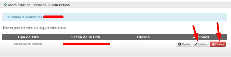 anular cita SAE por internet