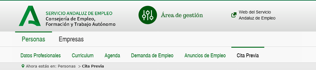 cita previa sae por internet